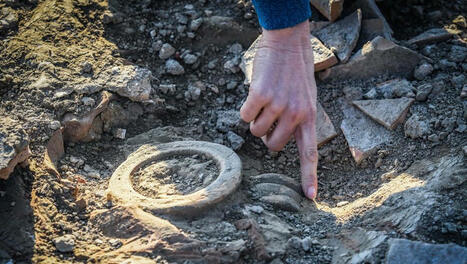 À 19 ans, il découvre des fossiles uniques et bouleverse l’étude du Carbonifère sur ce territoire aveyronnais | Revue de presse | Scoop.it