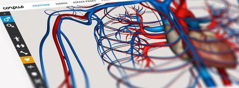 Corpus - Partez à la découverte du corps humain | Culture scientifique et technique | Scoop.it