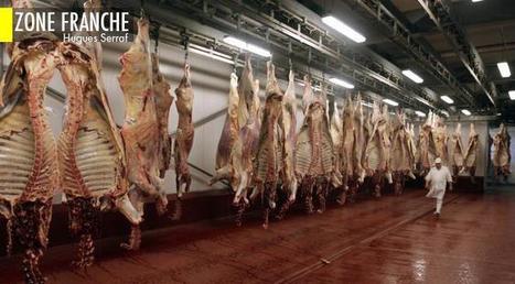 Viande halal : ah la la, c'est l'hallali.. | La Gazette des abattoirs | Scoop.it