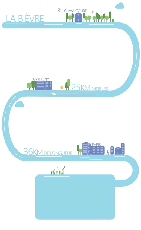 [Exposition virtuelle] Assainissement et biodiversité en région parisienne une symbiose inattendue - SIAAP | Biodiversité | Scoop.it