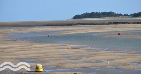 Prolonged drought sees UK turn to desalination | Aquatech | Operation Deimos | Scoop.it