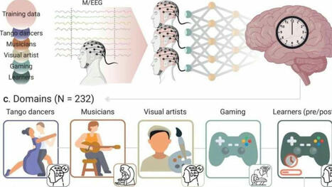 Confirman que las actividades creativas retrasan el envejecimiento cerebral | Mi Cajón de Ideas | Scoop.it