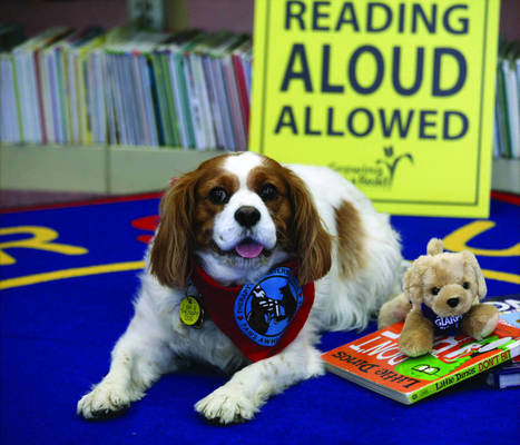 How reading aloud to therapy dogs can help struggling kids | Creative teaching and learning | Scoop.it