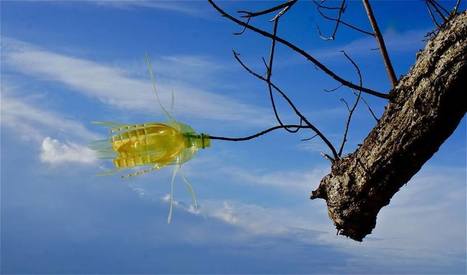 Aligna Sadakhom: Yellow flower on blue sky | Art Installations, Sculpture, Contemporary Art | Scoop.it