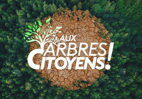 "Aux Arbres Citoyens !" 39 projets soutenus grâce à vous | Forêt, Bois, Milieux naturels : Interactions Enseignement supérieur - Organisations - Recherche | Scoop.it