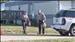 Naked man wounded in altercation with O'Fallon police | ksdk.com | CLOVER ENTERPRISES ''THE ENTERTAINMENT OF CHOICE'' | Scoop.it