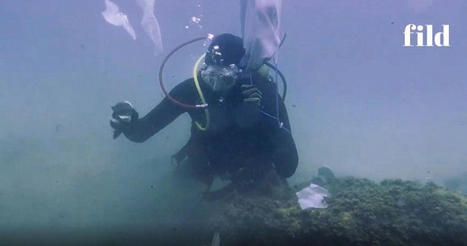 Le Plastique aura - t-il raison de la Méditerranée ? | Toxique, soyons vigilant ! | Scoop.it