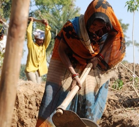 L'agriculture au féminin : une question de reconnaissance | Questions de développement ... | Scoop.it