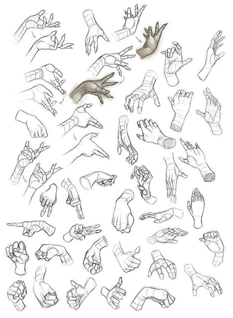 Female Hand Study Reference Guide | Drawing References and Resources | Scoop.it