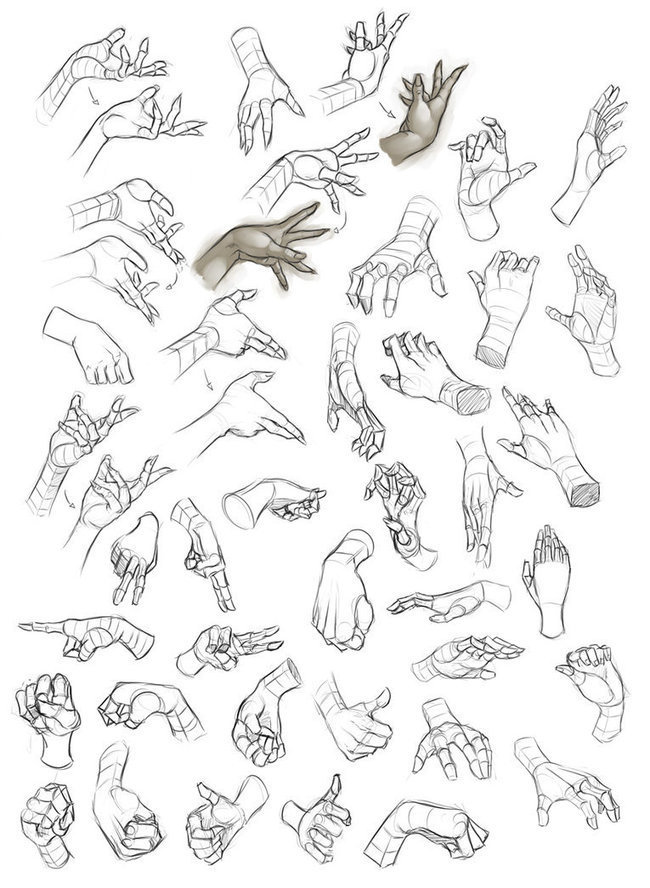 Female Hand Study Reference Guide | Drawing Ref...