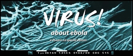 Virus! about ebola - a 2Learn.ca special edition | iGeneration - 21st Century Education (Pedagogy & Digital Innovation) | Scoop.it