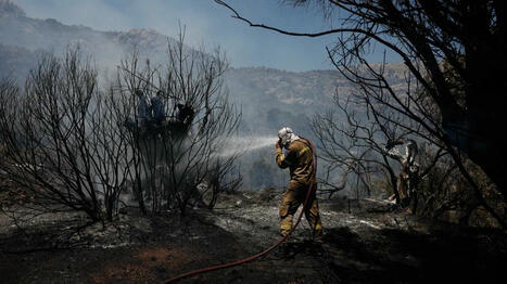 Plus de 4 000 hectares ravagés par les flammes sur l'île grecque de Chios | Biodiversité - @ZEHUB on Twitter | Scoop.it