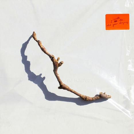 AI and a single twig: Here are Art Vinyl’s best album covers of 2023 | El Mundo del Diseño Gráfico | Scoop.it