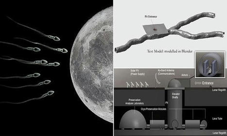 Scientists want to store animal sperm and egg samples on the MOON as 'insurance policy' | Amazing Science | Scoop.it