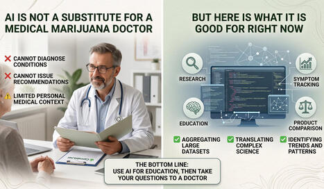 Can AI Replace Your Medical Marijuana Doctor? - No, But Here is What It Can Do Right Now | Cannabis.Net | Scoop.it