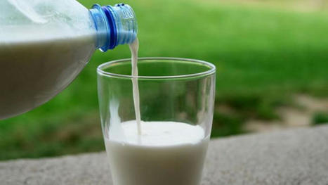 Prix du lait bio en baisse | Economie de l'Elevage | Scoop.it