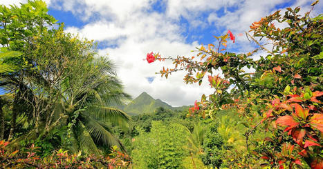 Un volcan de l'île française de la Martinique au patrimoine de l'Unesco | Biodiversité | Scoop.it