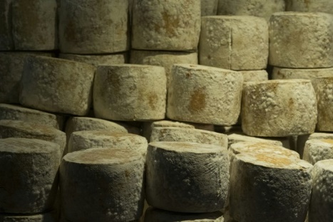 Accord commercial UE-Canada : le fromage pour les PME | Lait de Normandie... et d'ailleurs | Scoop.it