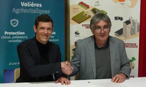 Tenergie & Oc&eacute;alia s&rsquo;associent pour d&eacute;velopper des voli&egrave;res agrivolta&iuml;ques - Tecsol Quotidien&nbsp; | Pour innover en agriculture | Scoop.it