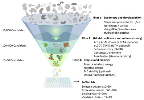 AI-Driven De Novo Binder Design: From Structure Prediction to Closed-Loop Optimization | csb | RMH | Scoop.it