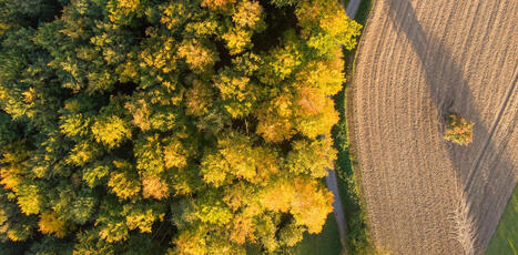 Faut-il partager ou épargner les terres ? Pourquoi le dilemme agriculture-biodiversité est dépassé - The Conservation | Biodiversité | Scoop.it