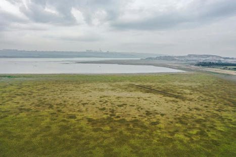 TURKEY : 3 out of 10 dams in Istanbul ring alarm bells amid drought | CIHEAM Press Review | Scoop.it