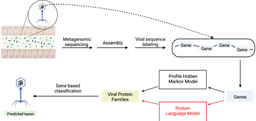 Improving viral annotation with artificial inte...