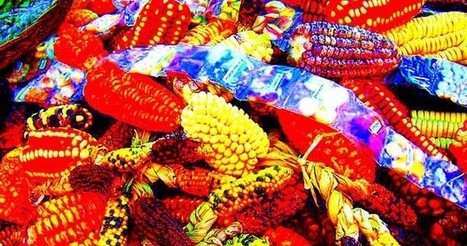 Impression 3D au maïs et au blé | Eco-conception | Scoop.it