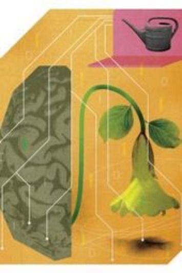 Don't Confuse Technology With Teaching - Commentary - The Chronicle of Higher Education | Higher Education in the Future | Scoop.it