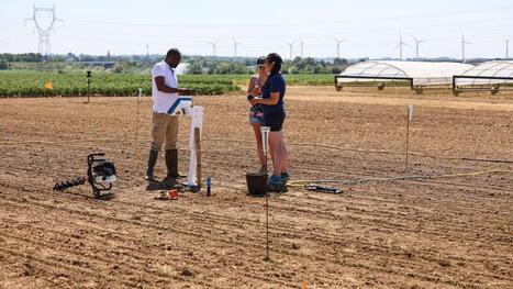 Teravenir a implant&eacute; une station sur une parcelle test de la Chambre d&rsquo;agriculture de la Somme | revue de presse | Scoop.it