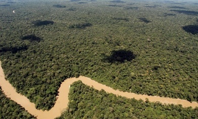 Ecuador signs permits for oil drilling in Amazon's Yasuni national park | RAINFOREST EXPLORER | Scoop.it