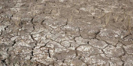 MAGHREB: La salinisation des sols: Une vraie menace | OLIVE NEWS | Scoop.it
