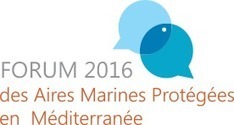 Rejoignez le processus du Forum | medpan | Biodiversité | Scoop.it