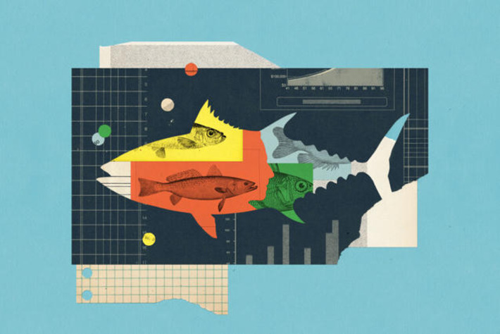 How Private Equity Is Changing Wealth Management | Wealth Advisors Report - Accumulating, Preserving, and Transitioning Wealth | Scoop.it