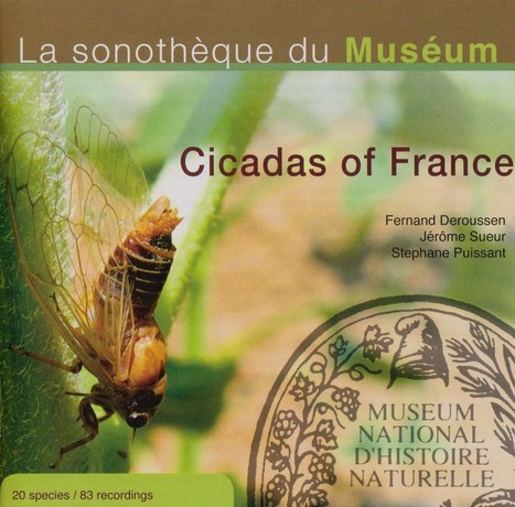 [CD audio] Cigales de France - La sonothèque du Muséum | Variétés entomologiques | Scoop.it