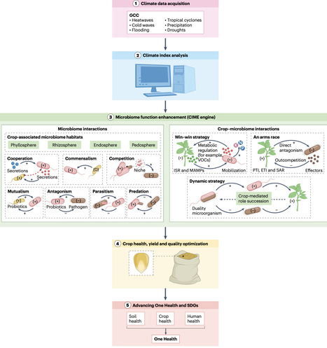 Microbiome-driven innovations for climate-resilient crop production | Nfd | RMH | Scoop.it