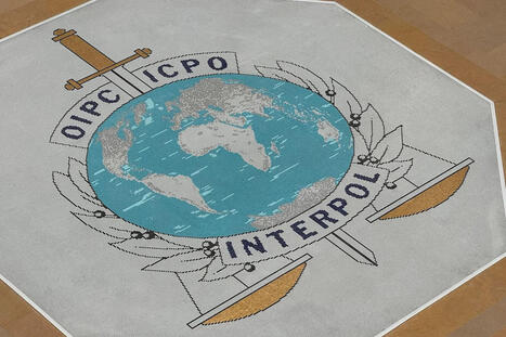 Interpol arrests 95 suspects in global child abuse image crackdown - Yahoo.com | Operation Phobos | Scoop.it