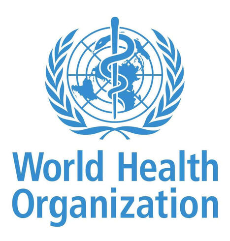 Risk reduction of cognitive decline and dementia: WHO guidelines, second edition | Hospitals and Healthcare | Scoop.it