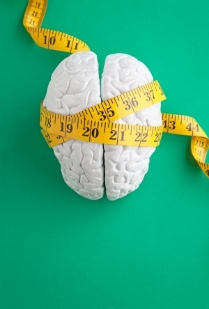 Human brain shaped by duplicate genes | Science News | Scoop.it