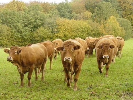 &laquo; Anticiper l'impact du climat sur l'agriculture dans la Creuse &raquo; | Paysage - Agriculture | Scoop.it