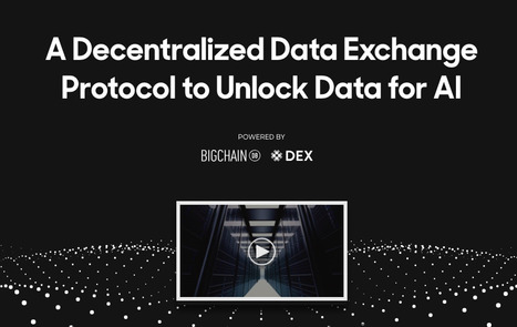 Ocean Protocol: A Decentralized Data Exchange Protocol to Unlock Data for AI  | Social Impact Bonds, "Pay For Success," Results-Based Contracting, and Blockchain Digital Identity Systems | Scoop.it
