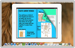 How To Turn Your iBook Into A Video In 3 Easy Steps - Edudemic | Educational iPad User Group | Scoop.it