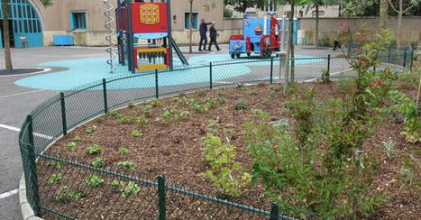 Des cours "vertes" dans les écoles marseillaises contre les îlots de chaleur | Marseille, la revue de presse | Scoop.it