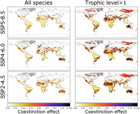 Les coextinctions pourraient avoir un rôle majeur dans la perte de biodiversité | EntomoNews | Scoop.it
