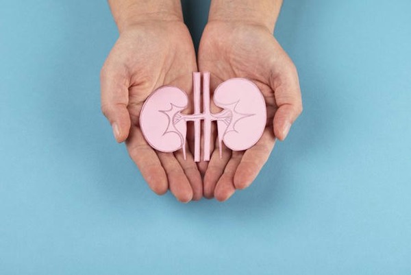 Next steps forward for renal services &ndash; | Peritoneal dialysis | Scoop.it