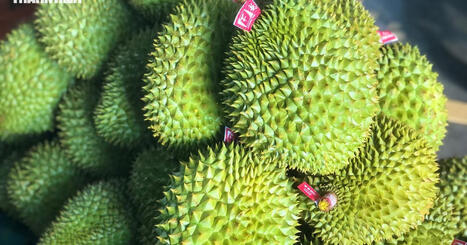 VIETNAM: The fruit and vegetable industry's billion-dollar hattrick | Revue de presse - Club DEMETER | Scoop.it