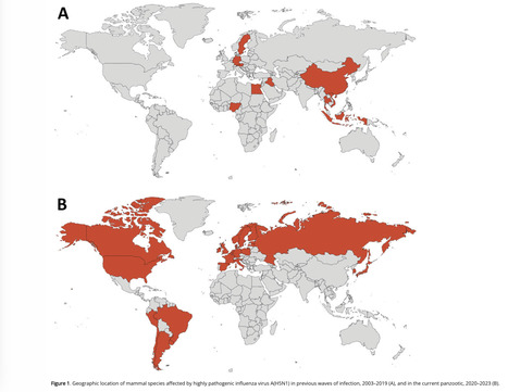 Recent Changes in Patterns of Mammal Infection with Highly Pathogenic Avian Influenza A(H5N1) Virus Worldwide  | Virus World | Scoop.it