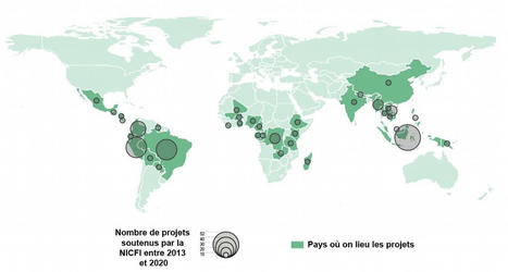 Le gouvernement norv&eacute;gien permet l'acc&egrave;s &agrave; des images satellites de haute-r&eacute;solution pour aider &agrave; pr&eacute;server les for&ecirc;ts tropicales | T&eacute;l&eacute;d&eacute;tection veille IST INRAE & AgroParisTech | Scoop.it