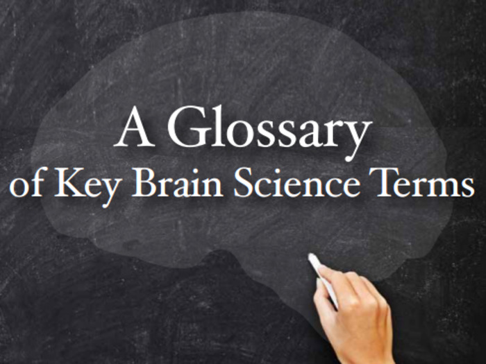 (EN) (PDF) - A Glossary of Key Brain Science Terms | dana.org | Glossarissimo! | Scoop.it