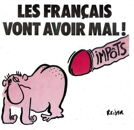 2012 Les français et les Impôts | Essentiels et SuperFlus | Scoop.it